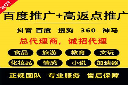 案例解析：揭秘高效竞价推广技巧